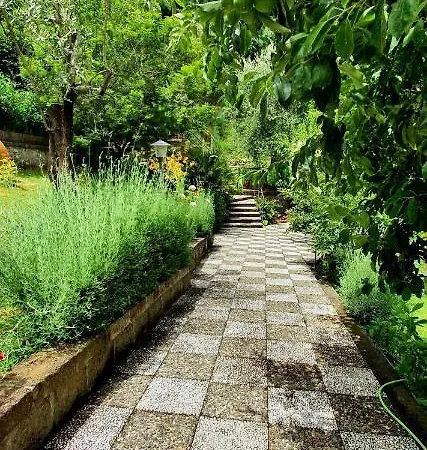 Casa Gaia Sorrento Bio Vacanze Sorrento