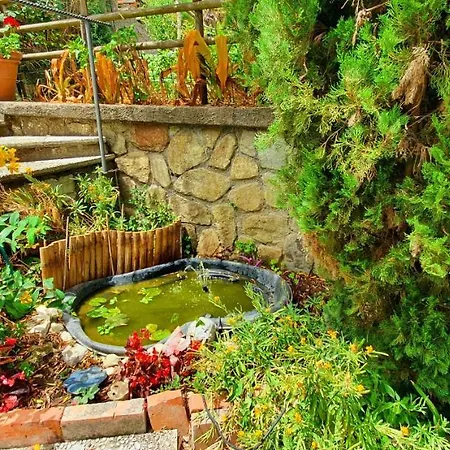 Bed & Breakfast Casa Gaia Sorrento Bio Vacanze Sorrento