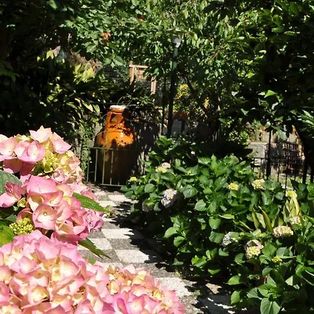 Casa Gaia Sorrento Bio Vacanze Sorrento