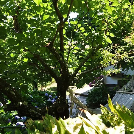Bed & Breakfast Casa Gaia Sorrento Bio Vacanze