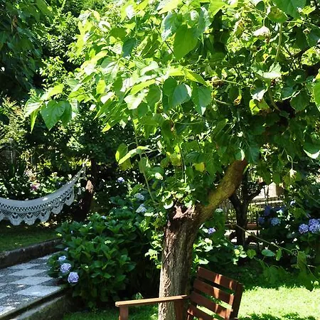 Casa Gaia Sorrento Bio Vacanze Sorrento