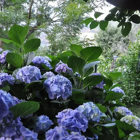 Bed & Breakfast Casa Gaia Sorrento Bio Vacanze *