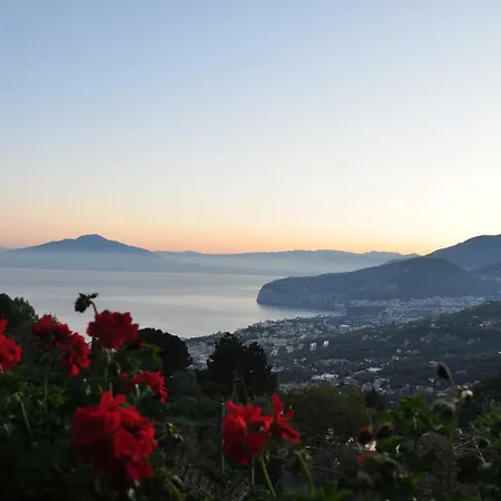 Casa Gaia Sorrento Bio Vacanze Sorrento
